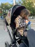 Cybex priam 2.0 Rebelious