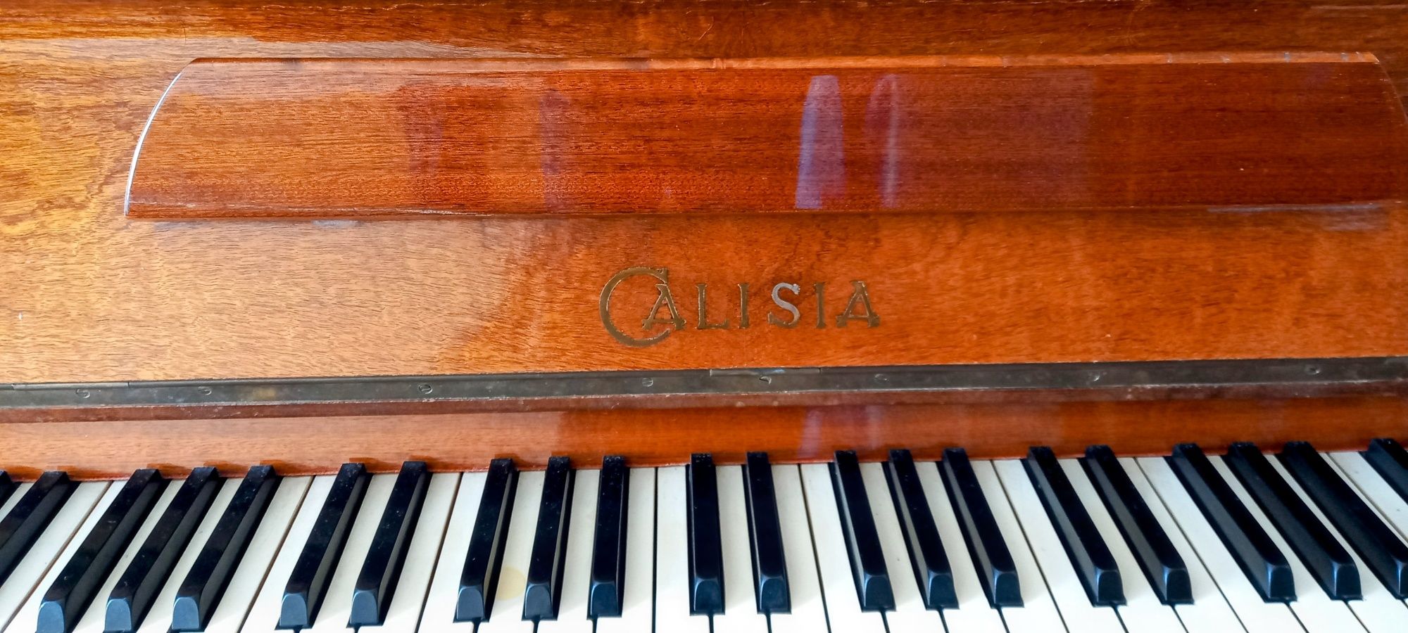 Pianino Calisia w dobre ręce