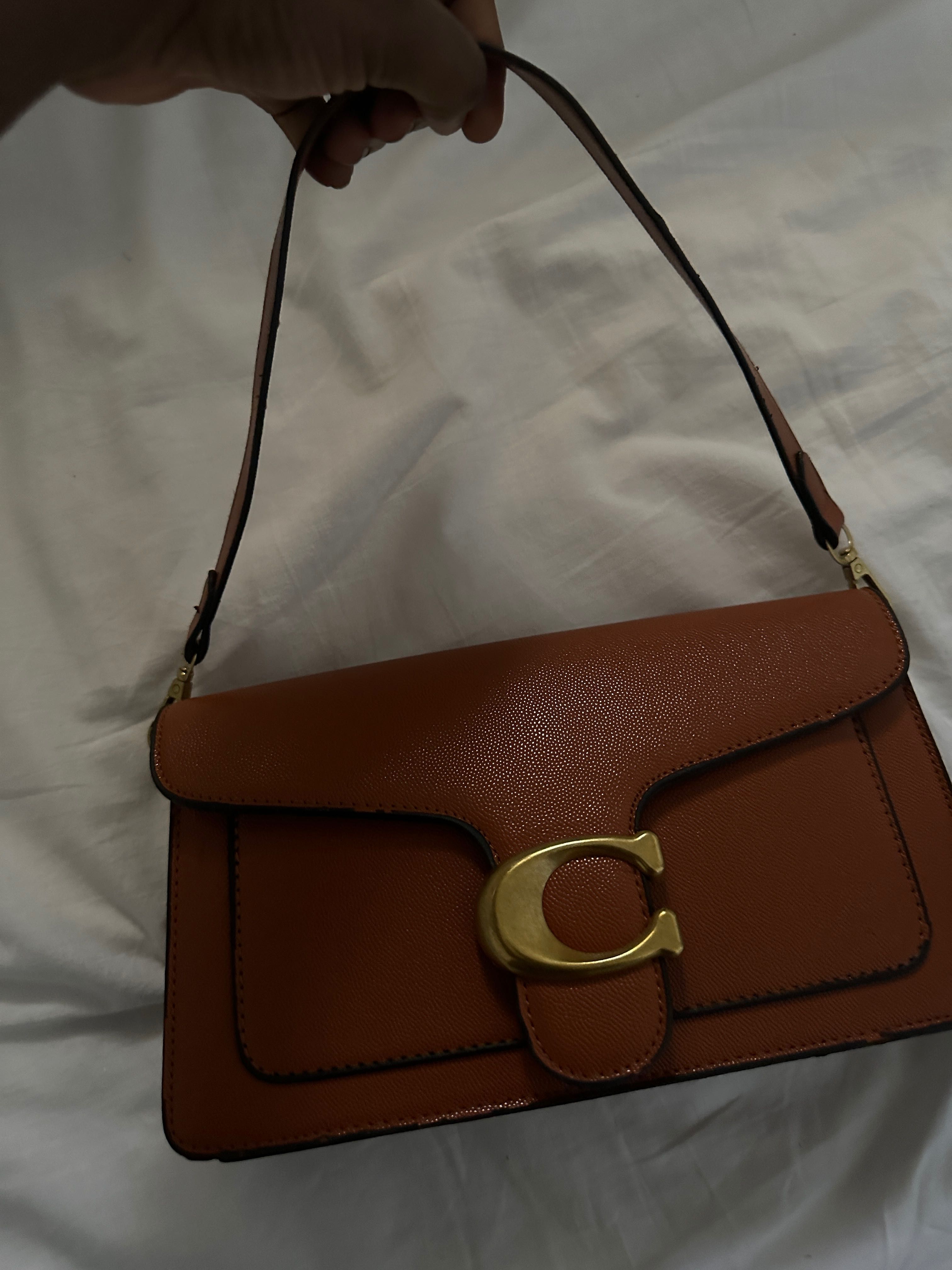 brown tabby coach bag