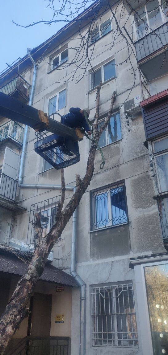 Спил аварийных деревьев