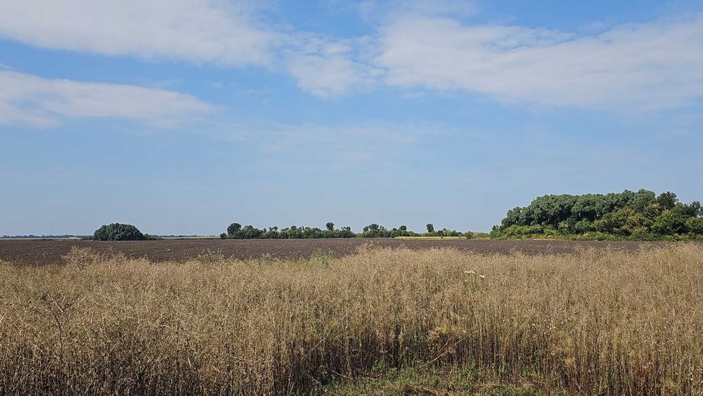 хутір Черняхівка будинок з газом світлом та електроживленням - є відео
