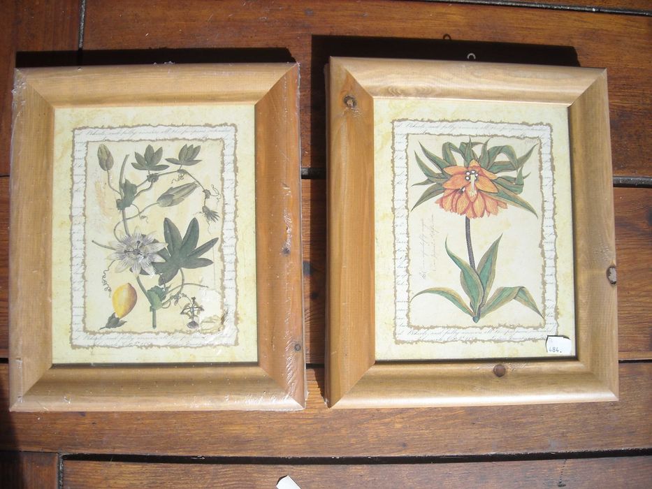 Quadros antigos rusticos vintage gravuras flores e frutos NOVO