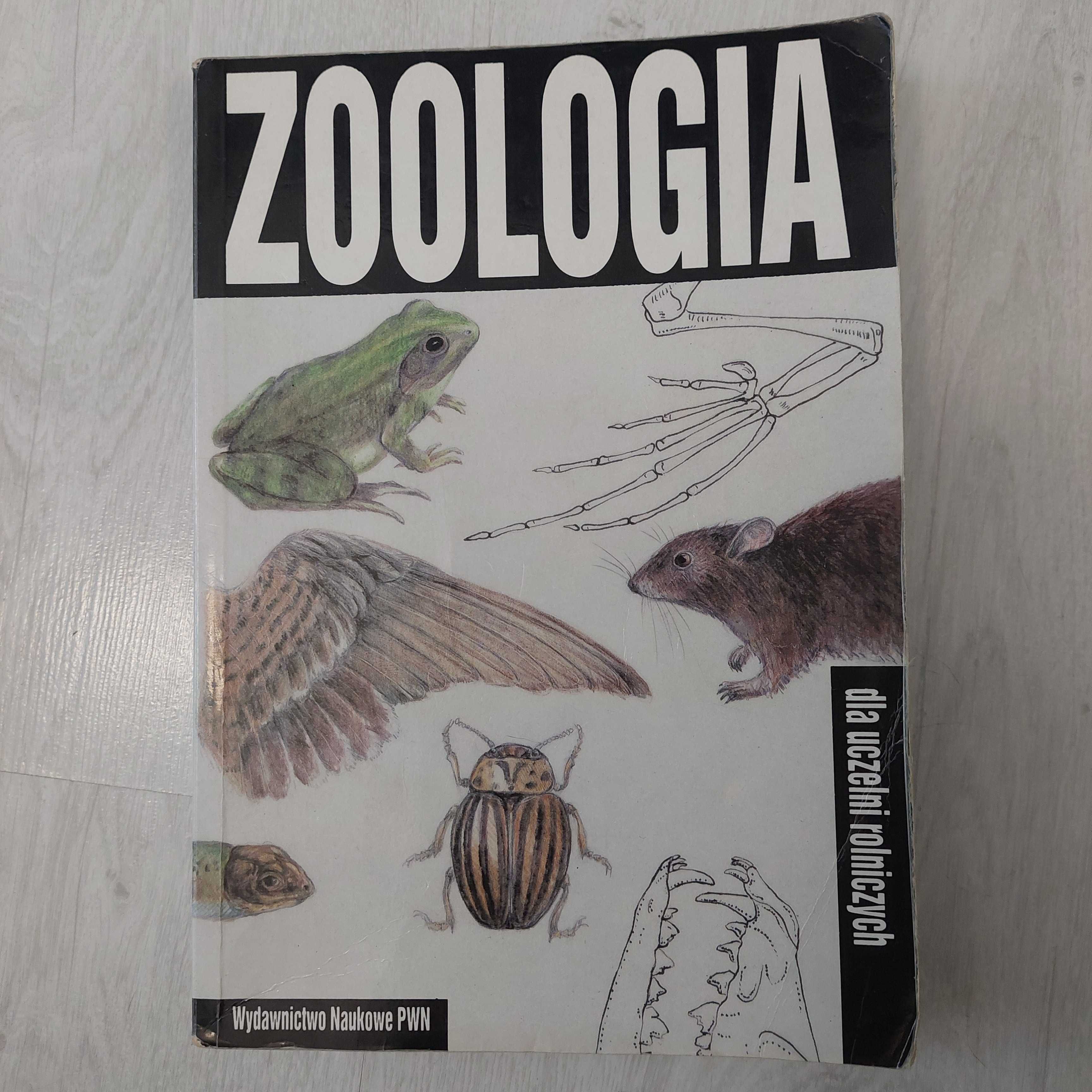 Zoologia dla uczelni rolniczych PWN Jolanta Hempel-Zawitkowska