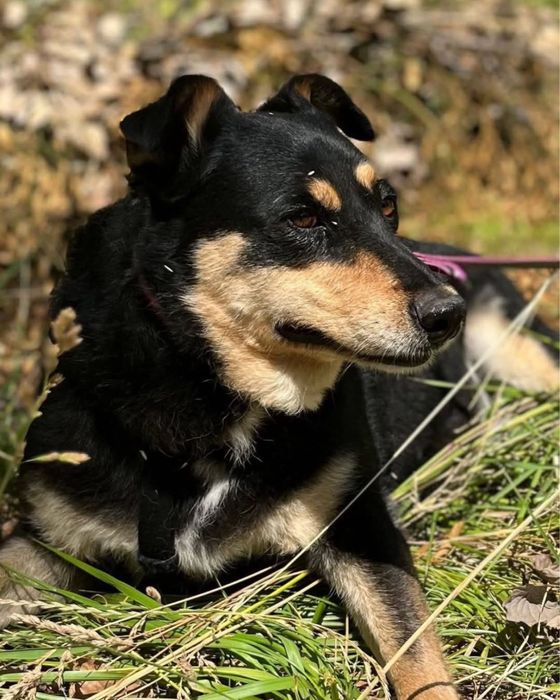 EWELINKA błaga o szanse