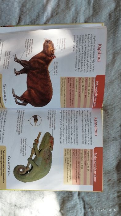 Ilustrowany atlas niezwykłych zwierząt