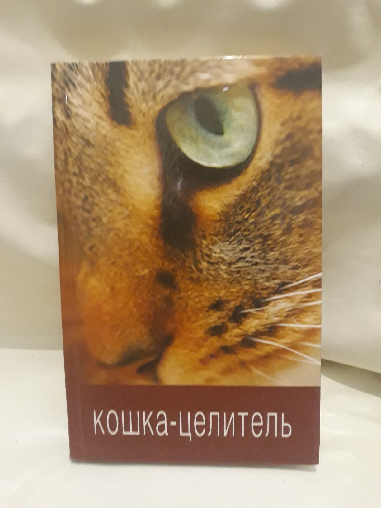 Книга Кошка-целитель