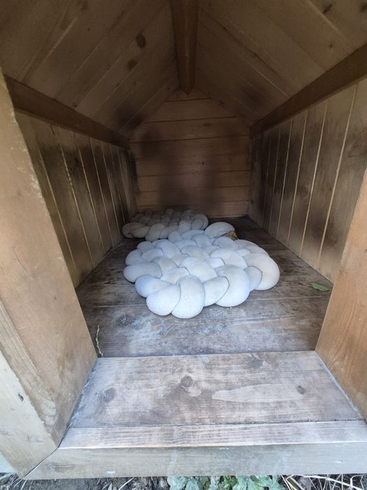 Buda dla psa średniego / dużego