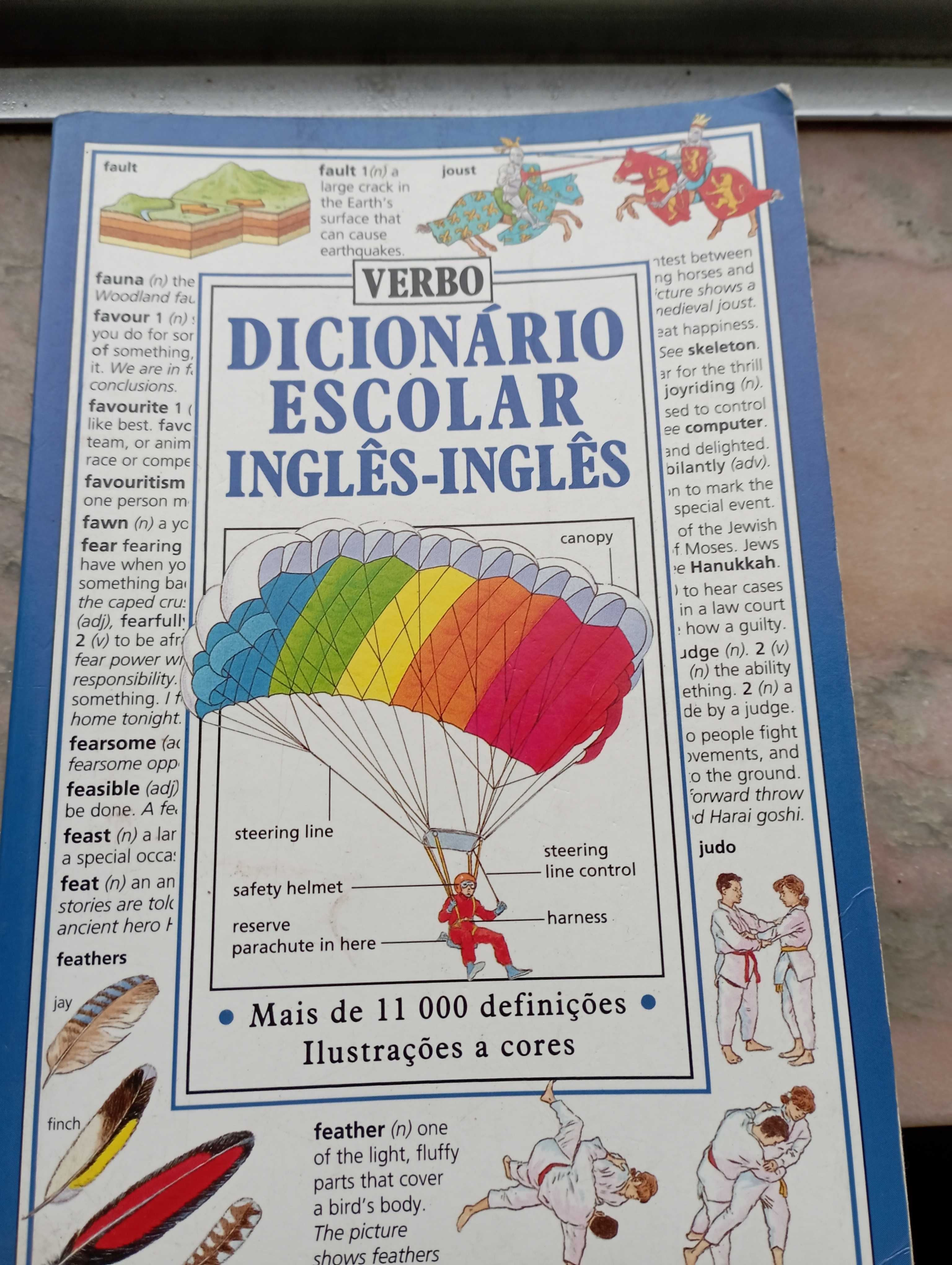 Dicionarios inglês e frances