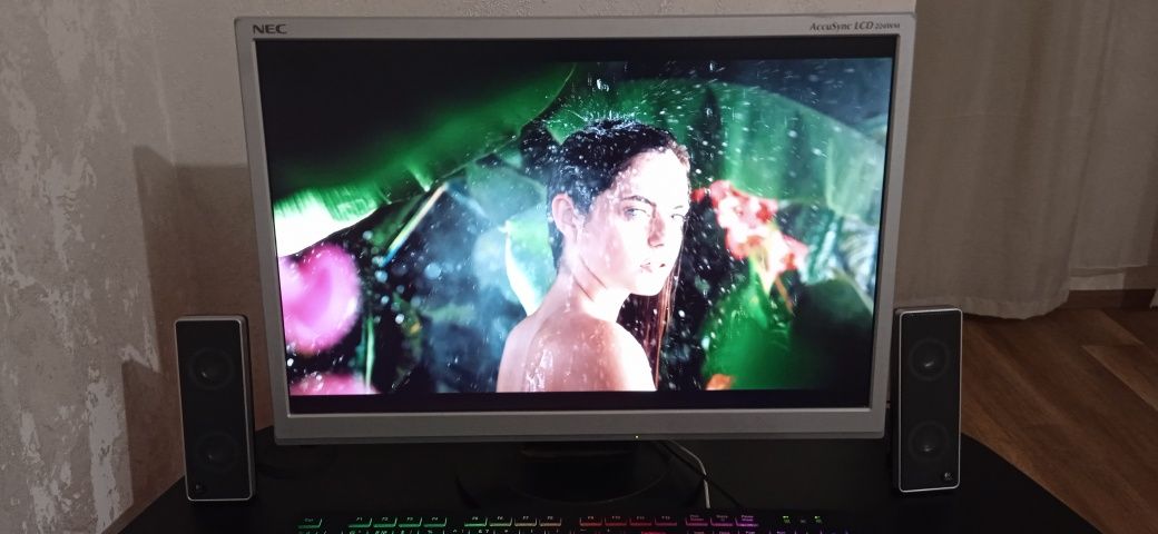 NEC AccuSync LCD223WM 22" HD/Full HD/2K/4K 60Hz