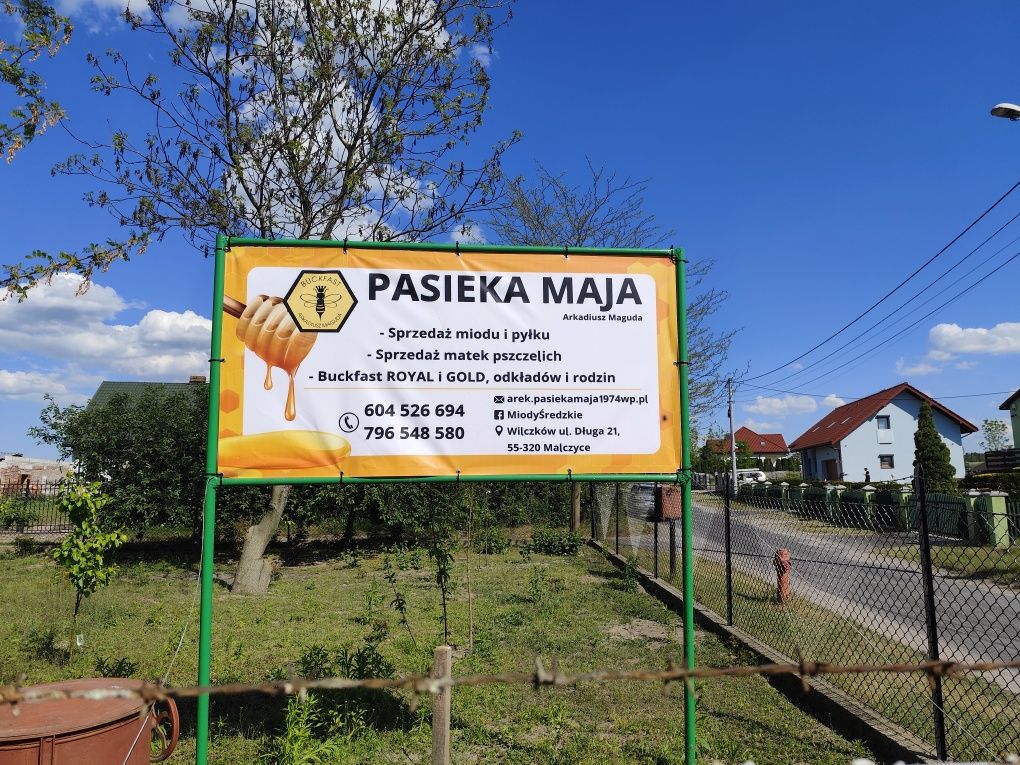 Matka pszczela Czerwiąca Buckfast Royal, Dostępne cały czas.