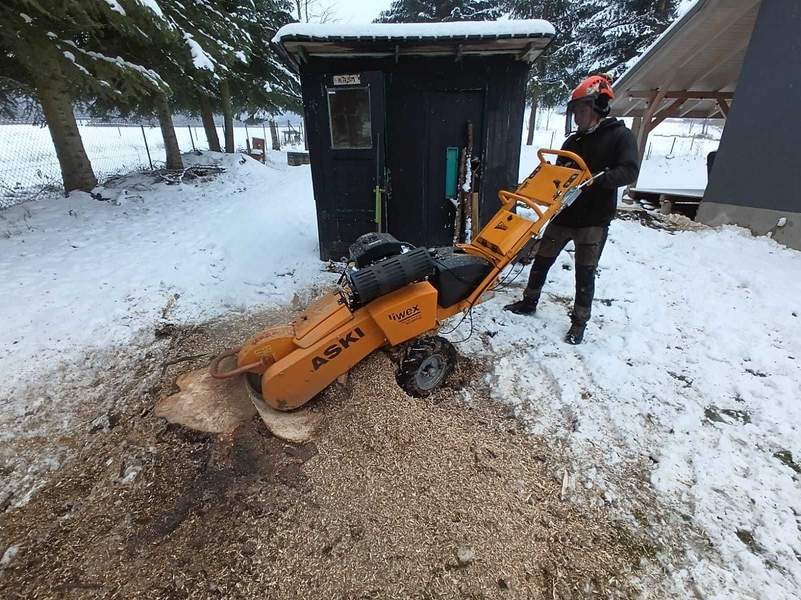 Wycinka i pielęgnacja drzew metodą alpinistyczną / frezowanie pni