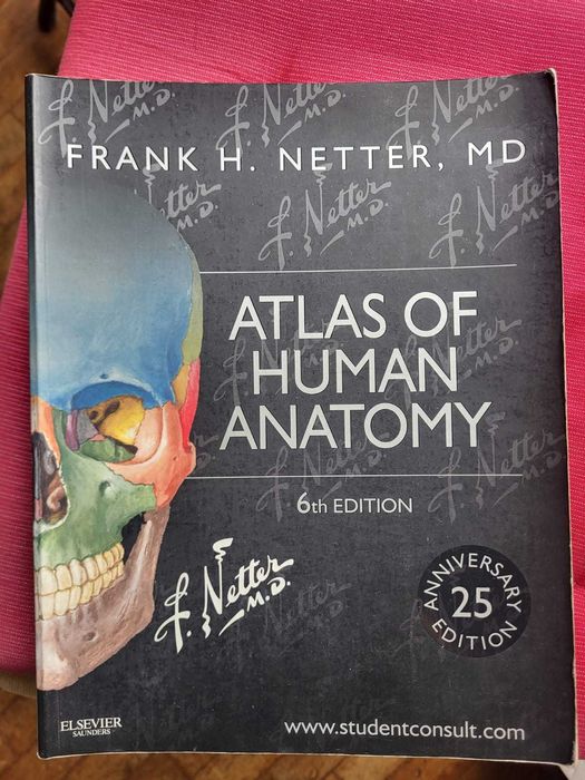 Bibliografia de Anatomia de Santa Maria + Netter Atlas de Anatomia