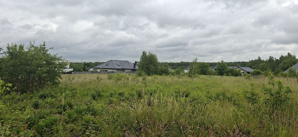 Remonty. Przygotowanie dzialek budowlanej