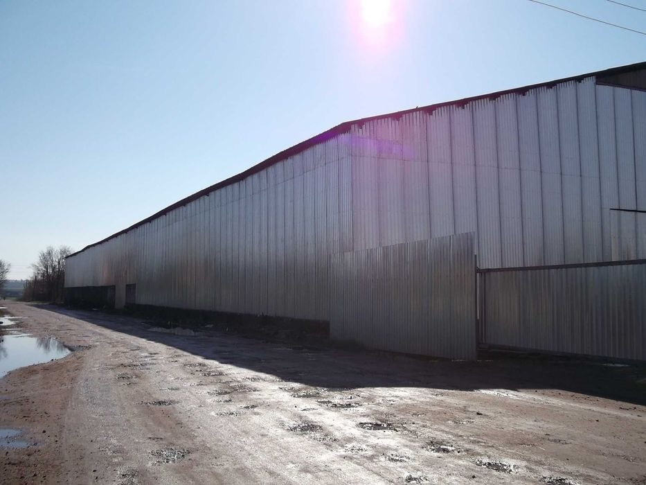 Оренда Миронівське ОТГ (Таганча) складського виробничого приміщення