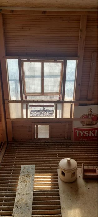 Gołębnik na sprzedaż
