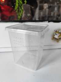 Terrarium - pudło  box