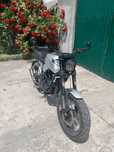 Geon Scrambler 250