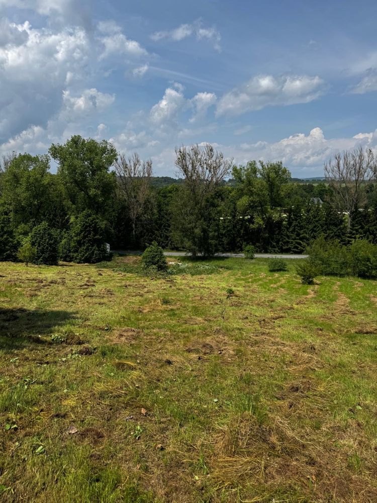Czyszczenie dzialek , koszenie trawy, wycinka