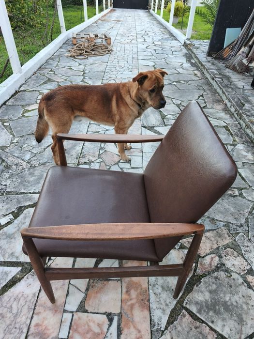 Cadeirões impecáveis