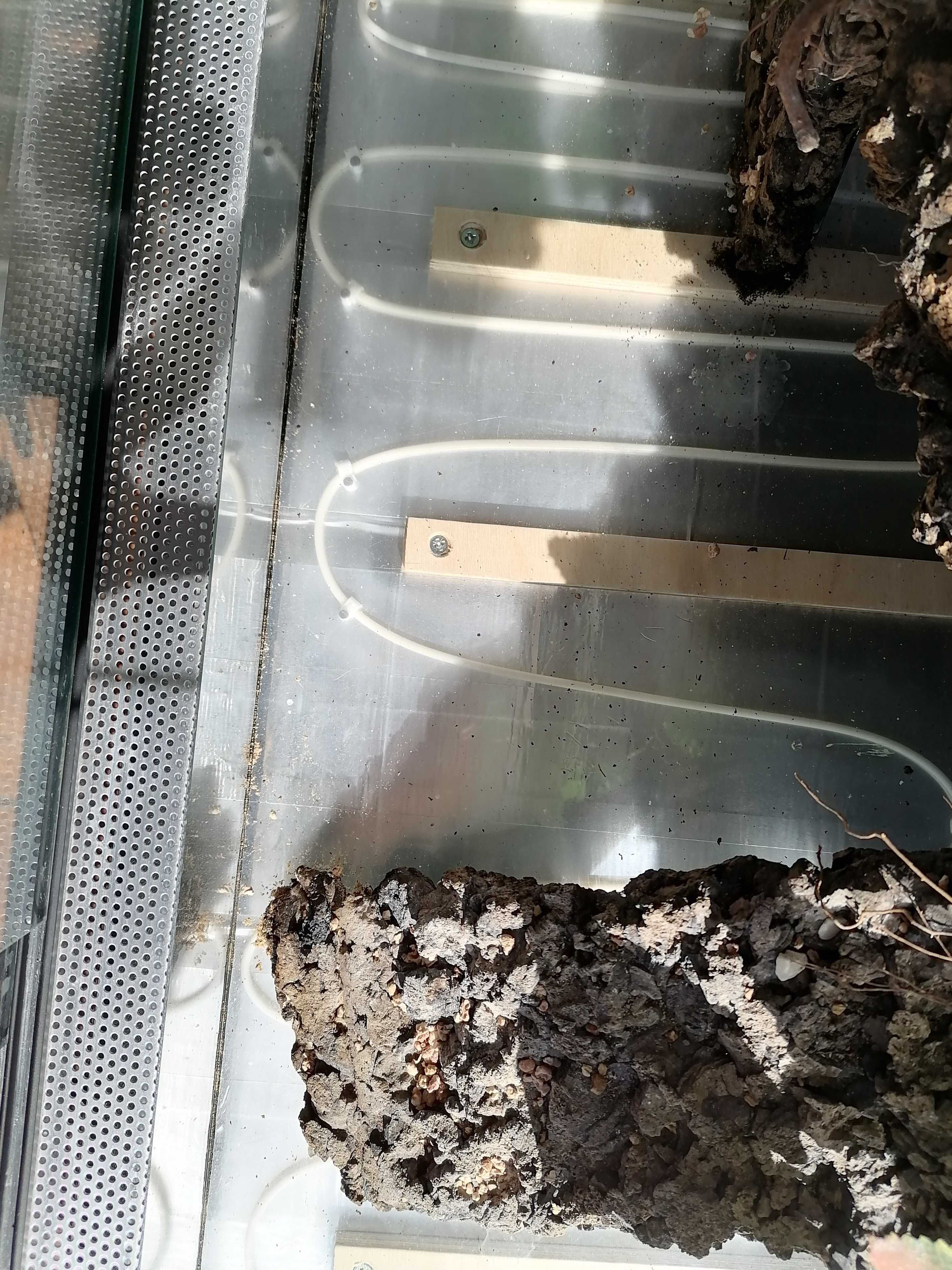 Terrarium dla gekona lamparciego z matą grzewczą + dodatki