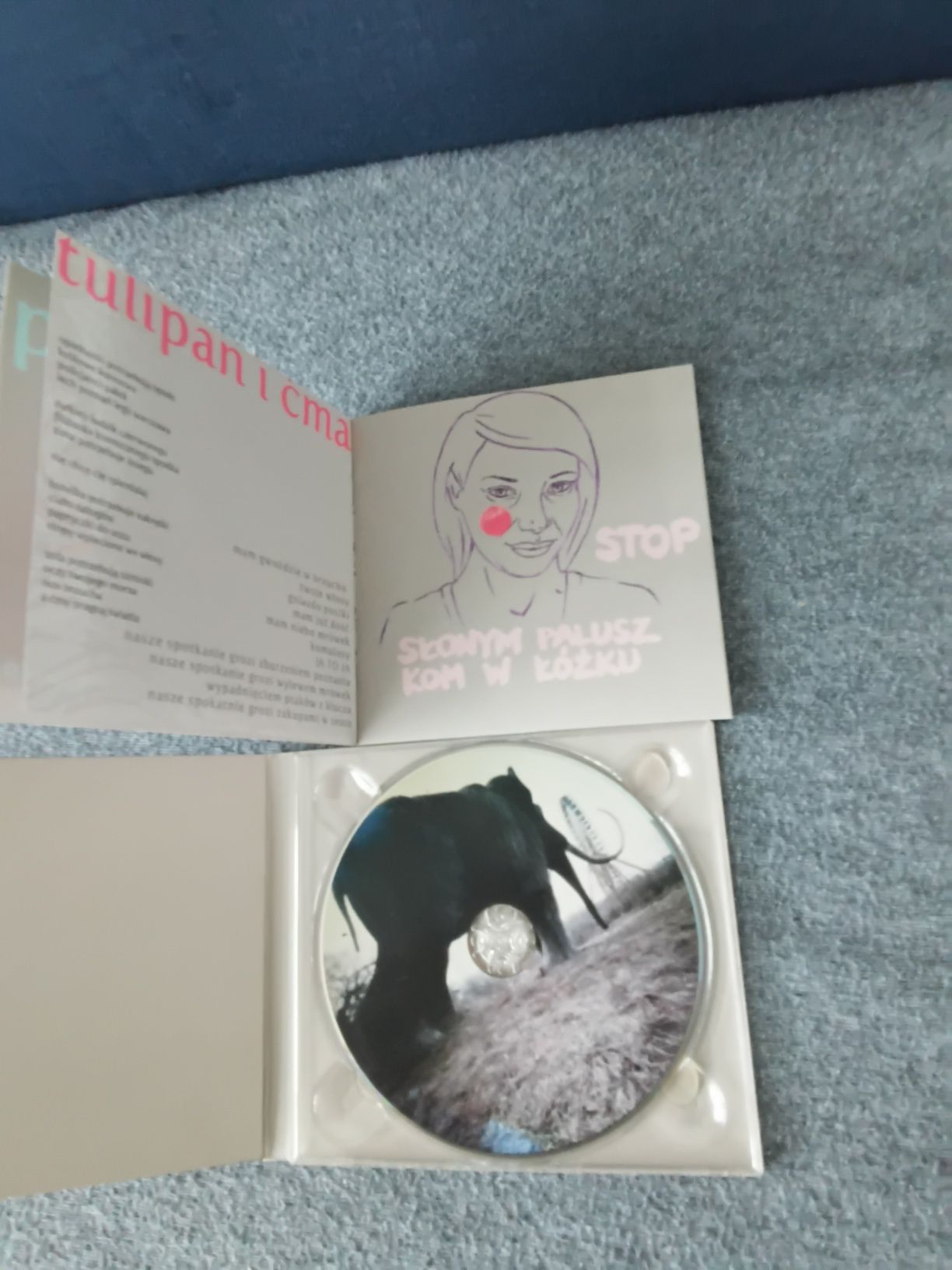 Płyta CD Kombajn  Do Zbierania Kur Po Wioskach Karmelki i gruz, kdzkpw