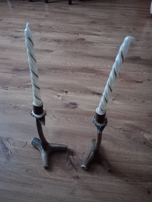 Poroże jelenia świeczki