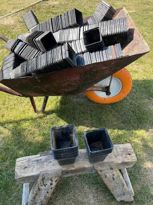 Doniczki przemysłowe P9, (kwadrat 9x9cm), używane - okolice Krakowa