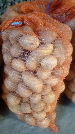 Ziemniaki Vineta EKOLOGICZNE prosto od rolnika 1,00zł
