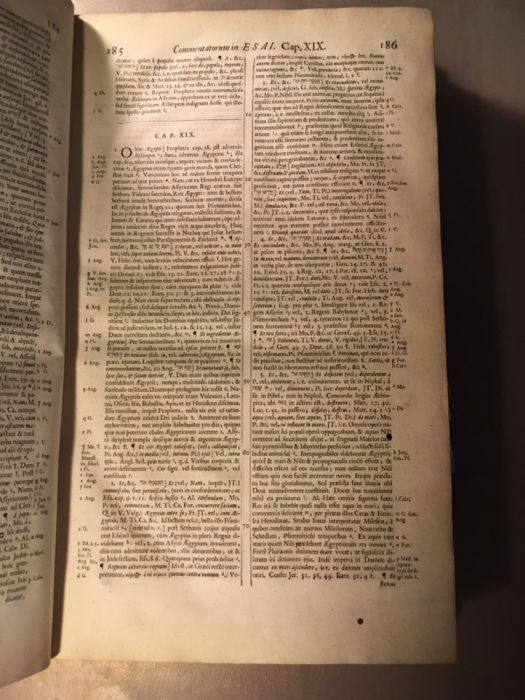 Synopsis Criticorum Aliorumque Sacrae Scripturae Interpretum