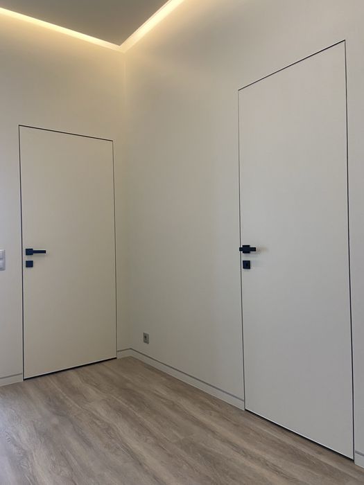 Двері прихованого монтажу Приховані двері скриті двері