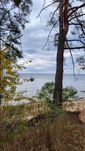Продам участок 10 га с выходм на большую воду