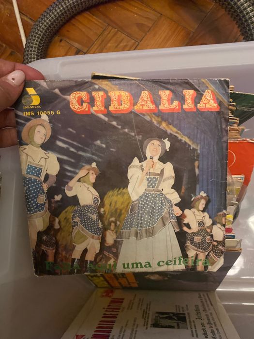 Lote de vinis  singel