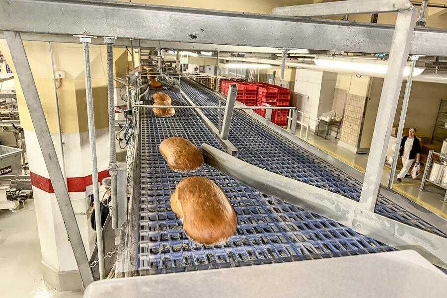 Taśmociąg podajnik 18 metrów