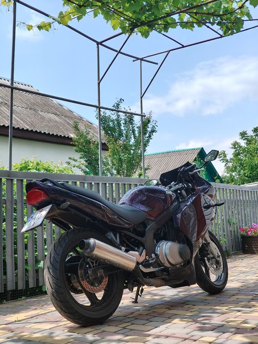 Suzuki GS500F 2005