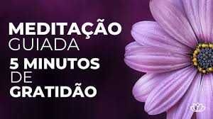 Guião sobre a Gratidão