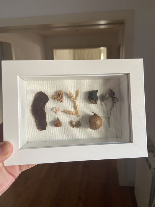 Quadro elementos naturais