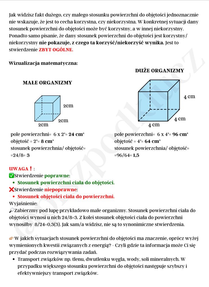 Notatki biologia/ matura biologia/ niezbędnik