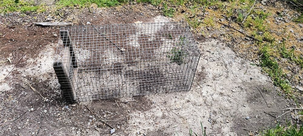 Клетки животноводческие