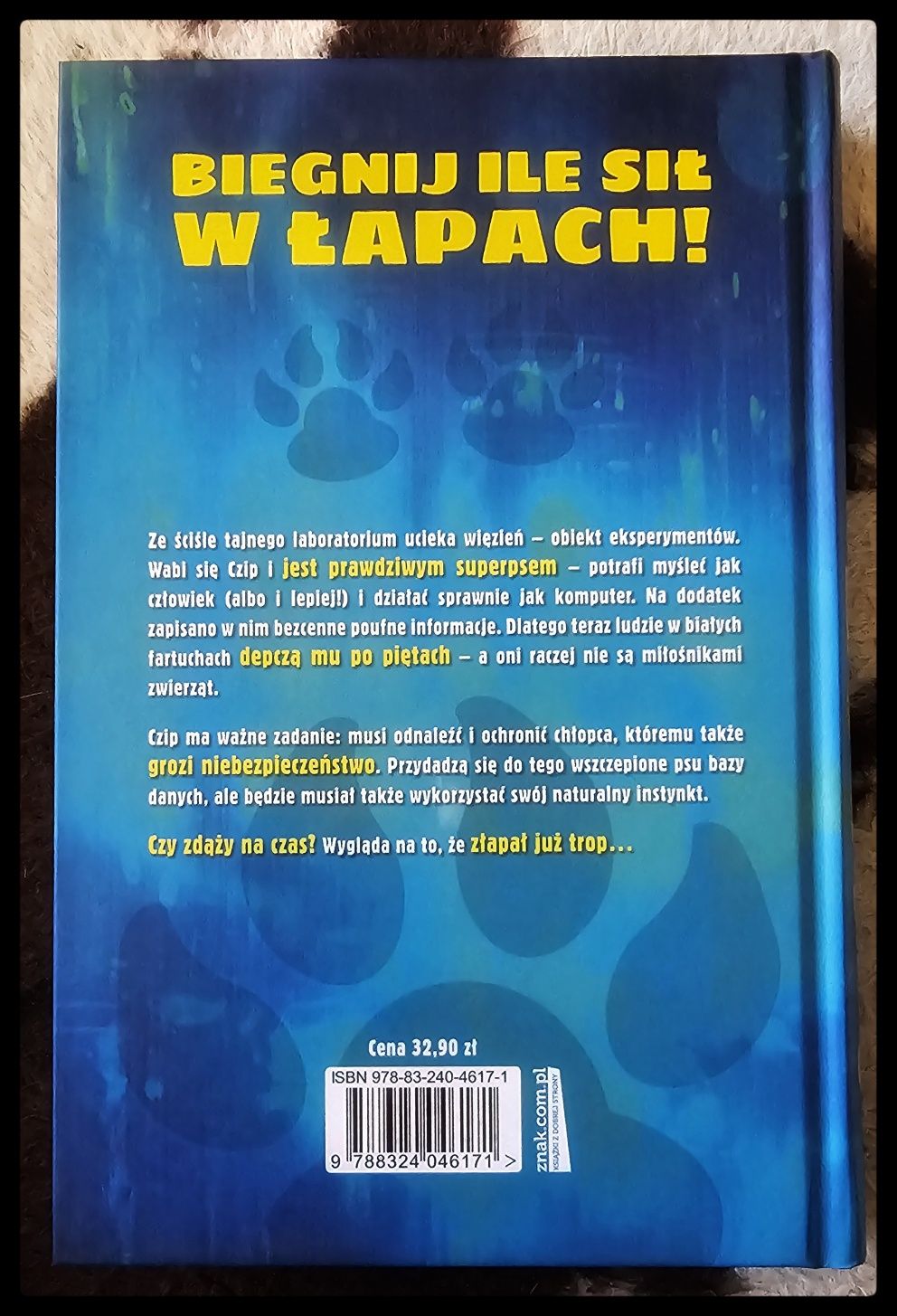 Linwood Barclay. Pościg.