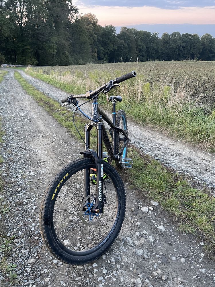 Dartmoor Hornet 2019 custom DH