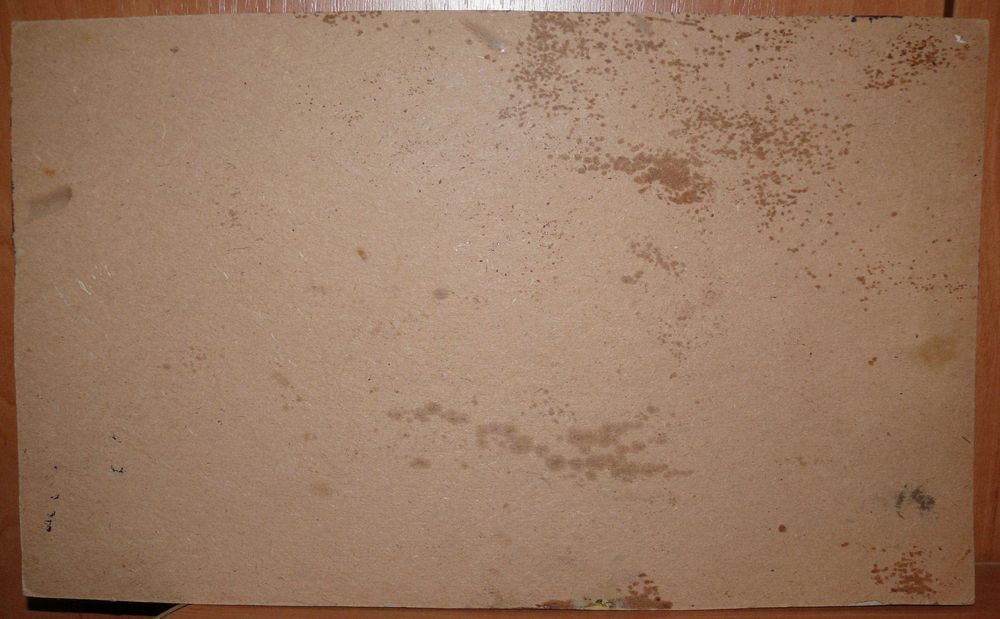 Живопись, Масло. Девушка Эротика НЮ. Классика. Худ. Сердюков Александр