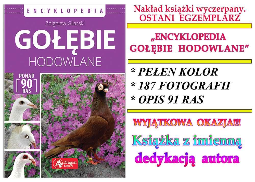 GOŁĘBIE  HODOWLANE - encyklopedia