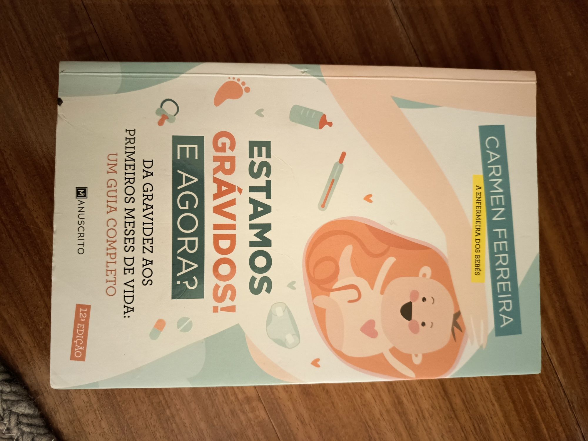 Livro: Estamos Grávidos e Agora? - Enf. Carmen Ferreira