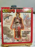 Livro Descobre corpo humano