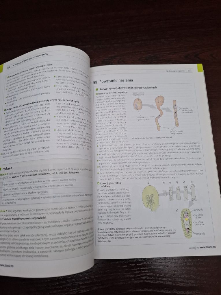 Biologia rozszerzenie repetytorium maturalne
