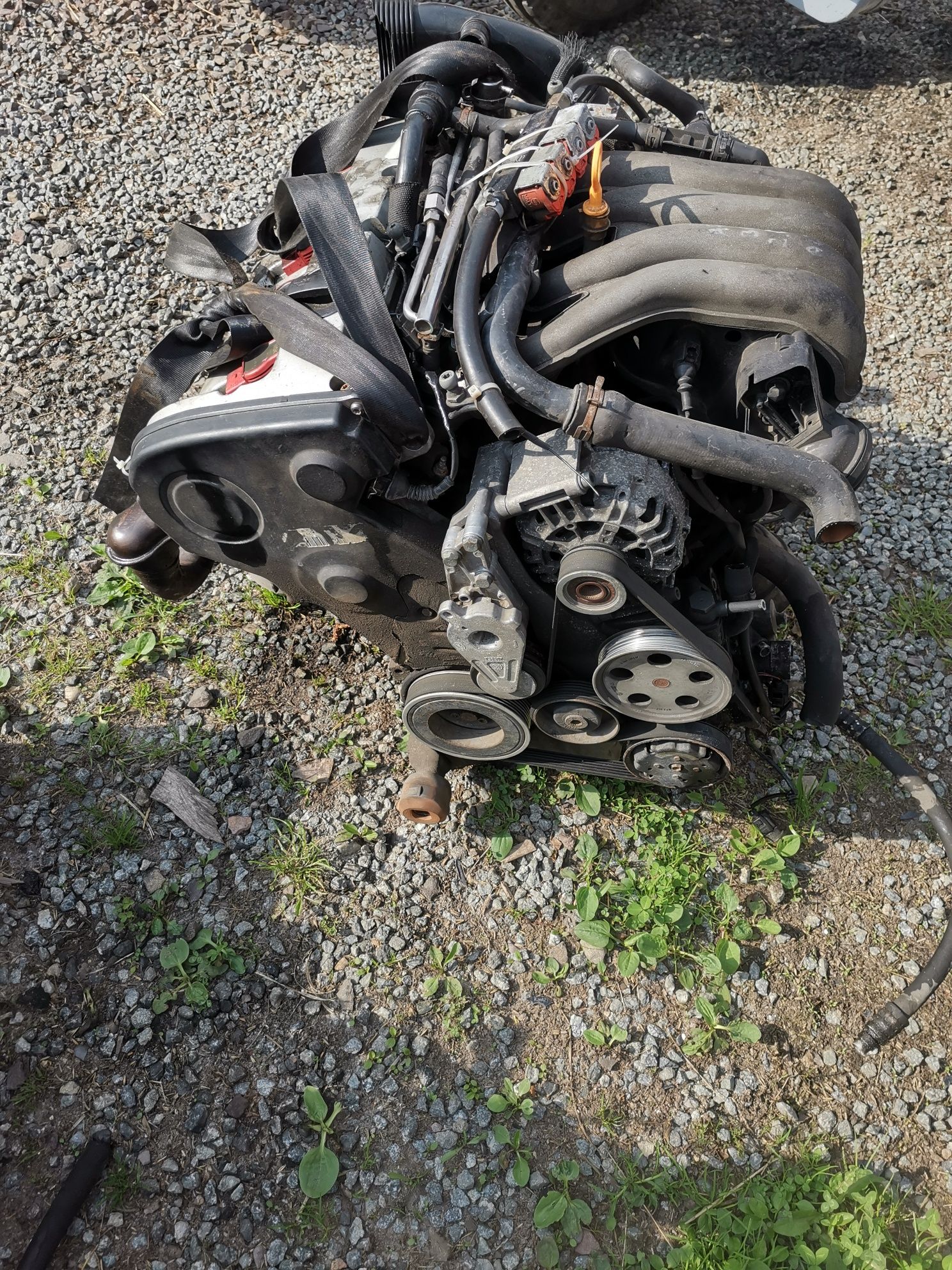 Audi a4 b6 b7 kompletny silnik 2.0 ALT 14 Bar ciśnienia