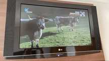 Tv LG 80cm 32”