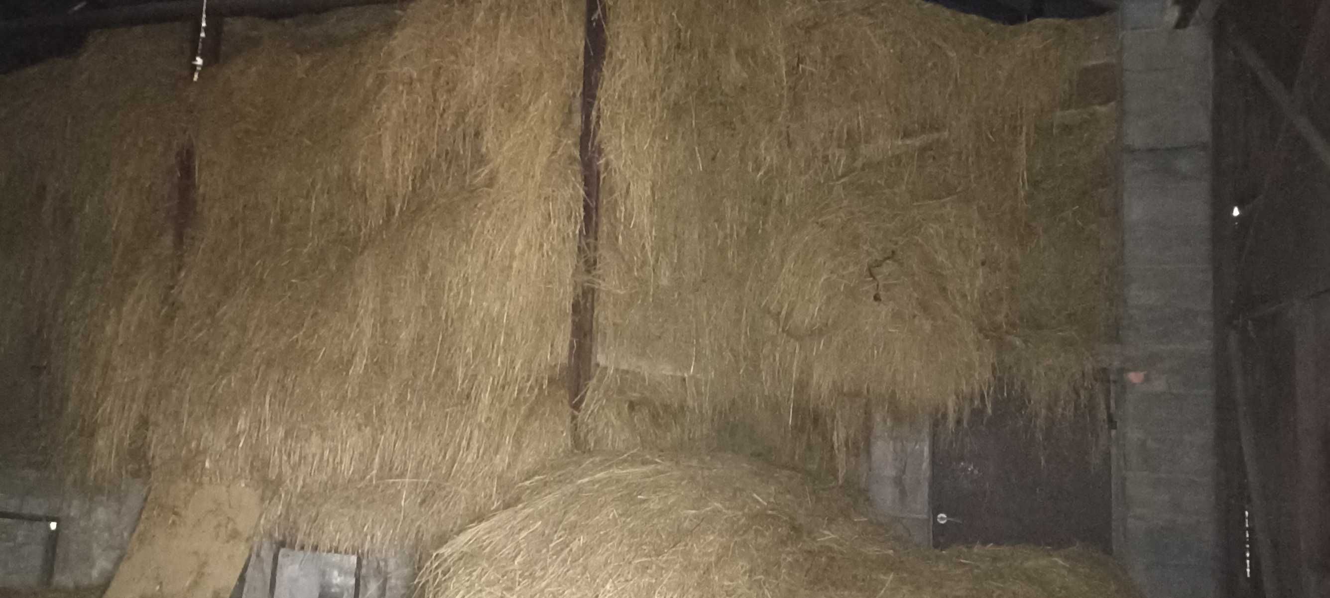 Siano, słoma, oddam za darmo