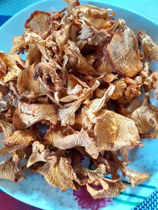 Лисички сушені...