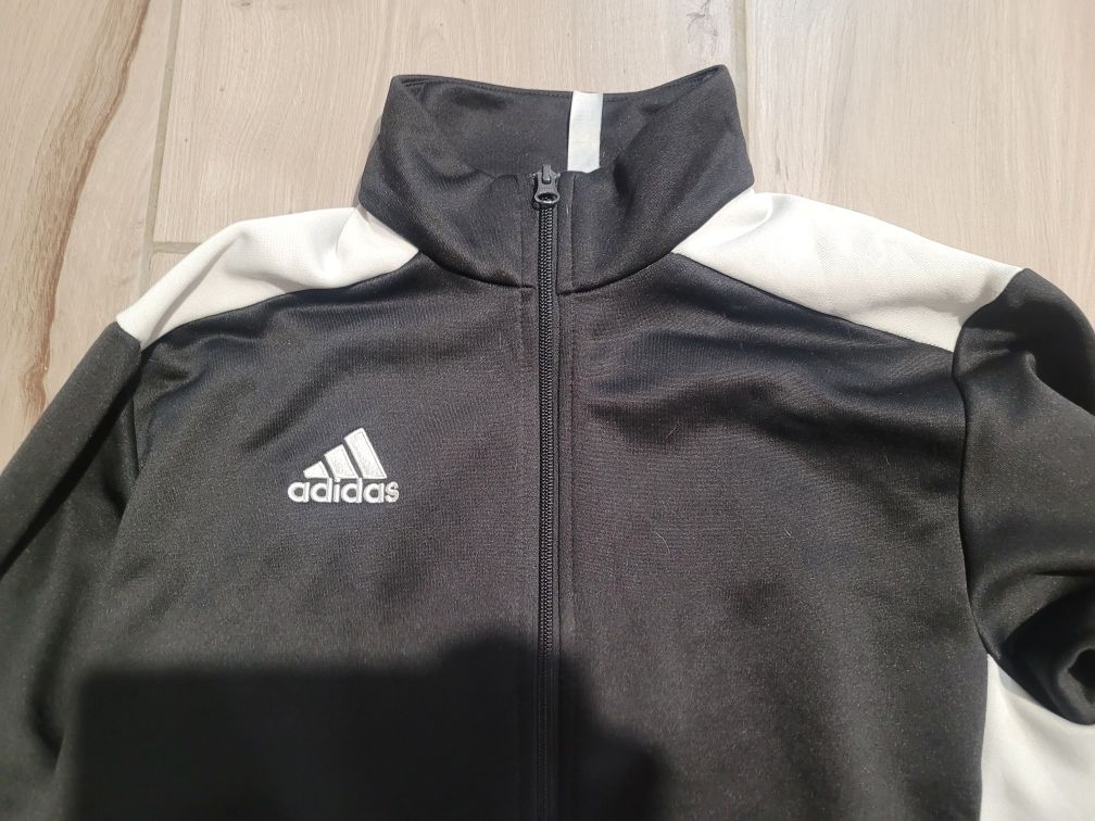 Bluza adidas/szafa ubrań